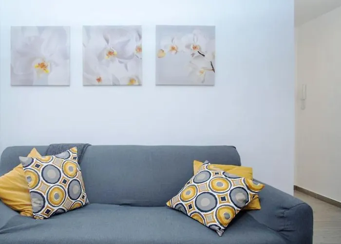 Live Cruz Venezuela *